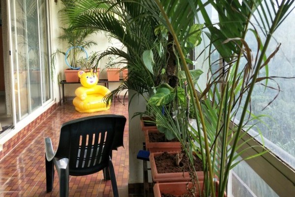 Ready to move in Flat